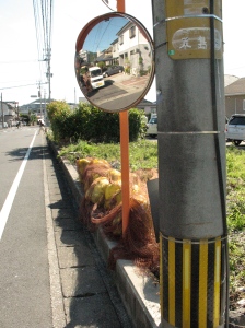 the ubiquitous road mirror