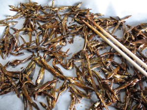 candied dried fish